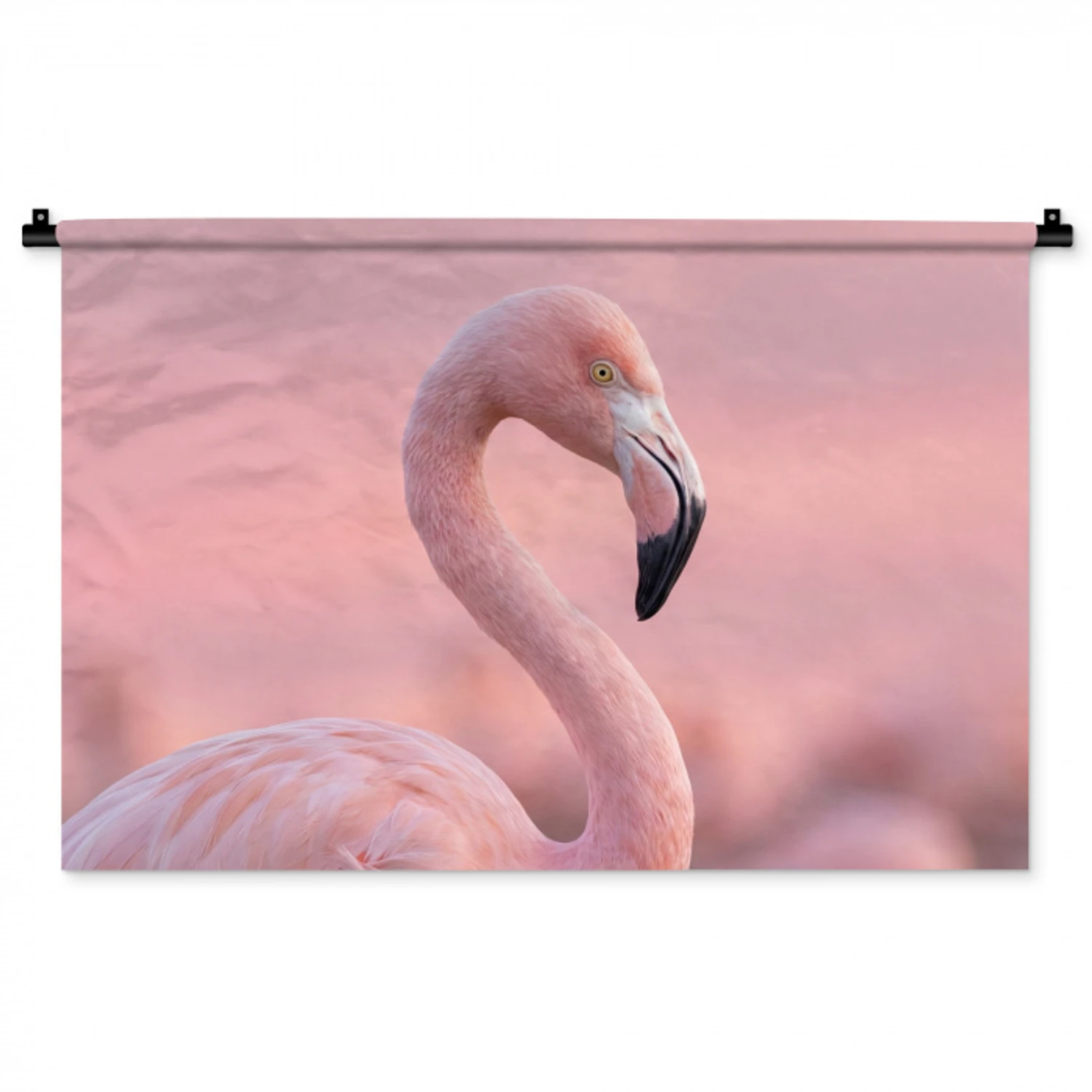 Flamingo - Portret - Roze Wandkleed katoen middel -zz3d