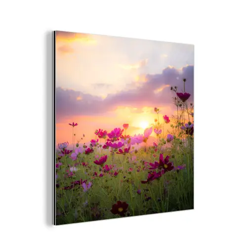 Bloemen - Roze - Zonsondergang - Natuur - Weide - Horizon aluminium wit klein -3d