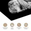 Wilde dieren - Wolf - Zwart - Wit poster papier klein -closeup_NL