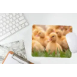 Pijltje - Eend - Natuur - Geel muismat rubber klein -witbureau