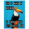 Vogel - Toekan - Blauw - Quotes poster papier klein -3d