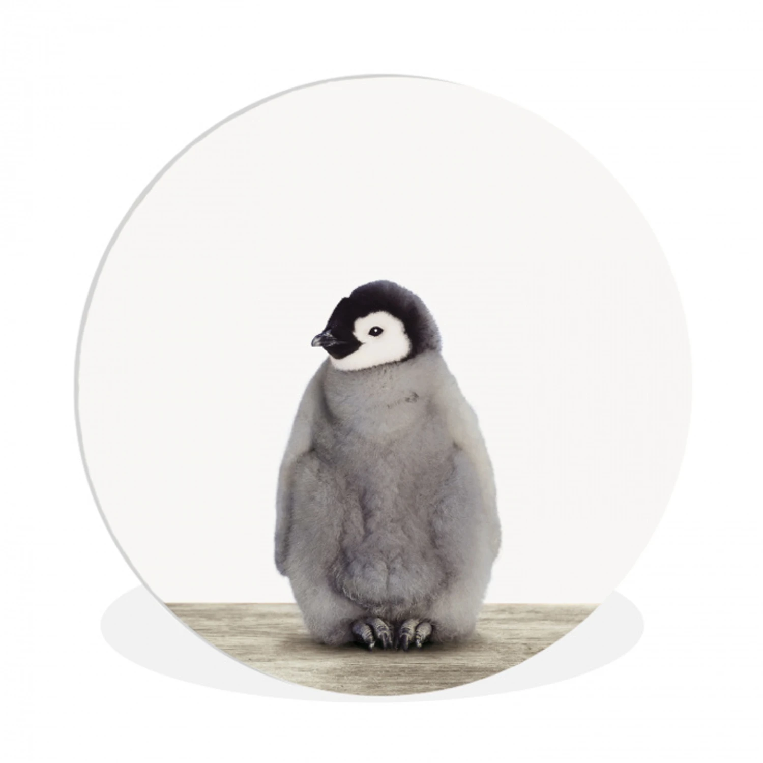 Kinderen - Pinguïn - Grijs - Dieren - Meisjes - Jongens Wandcirkel kunststof plaat 5mm dik klein -3d