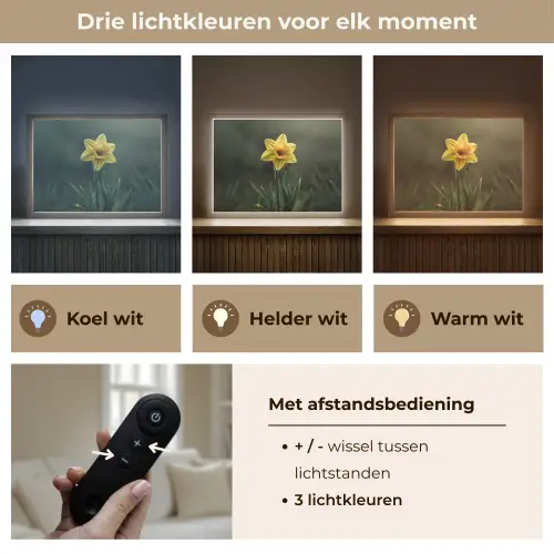 Bloem - Narcis - Gras - Geel Light Box met batterij (Wandlamp) middel -USP_lichtkleurNL