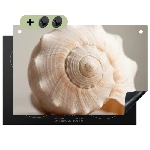 Schelp - Detail - Beige Inductie beschemer met haakjes klein -3d