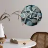Zeesterren - Stenen - Wit Wandcirkel behangsticker klein -sfeer3