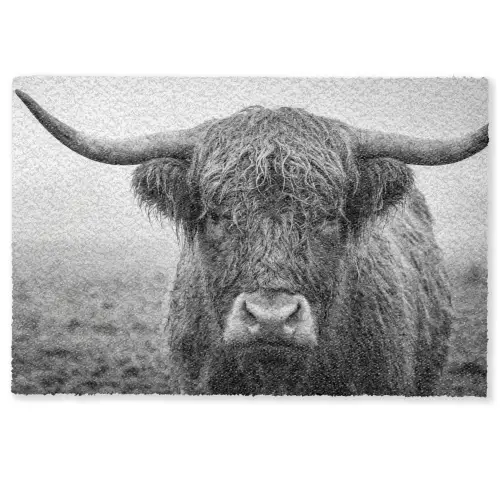 Schotse hooglander - Zwart - Wit - Gras Deurmat klein -zkaufland3d