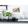 Hazestaartgras - Wit - Zonlicht Muursticker klein -keuken