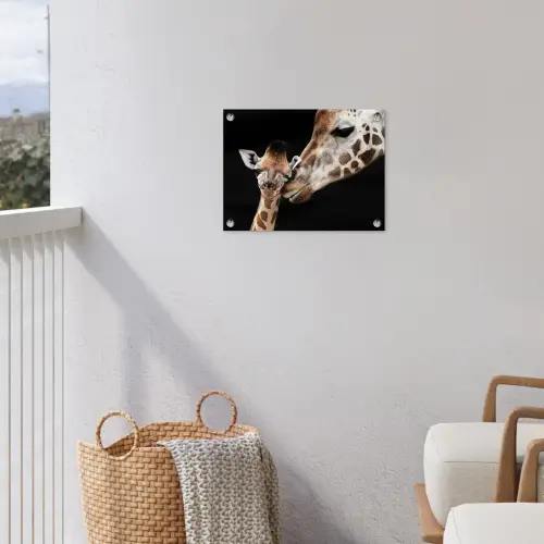 Giraffe - Dieren - Zwart - Portret - Dieren tuinposter los doek klein -sfeer8
