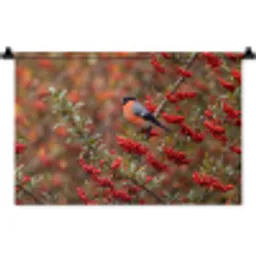 Goudvink - Bessen - Herfst - Natuur - Kleurrijk Wandkleed katoen klein -zz3d