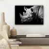 Dieren - Neushoorn - Zwart - Wit - Portret canvas 2cm klein -sfeer6