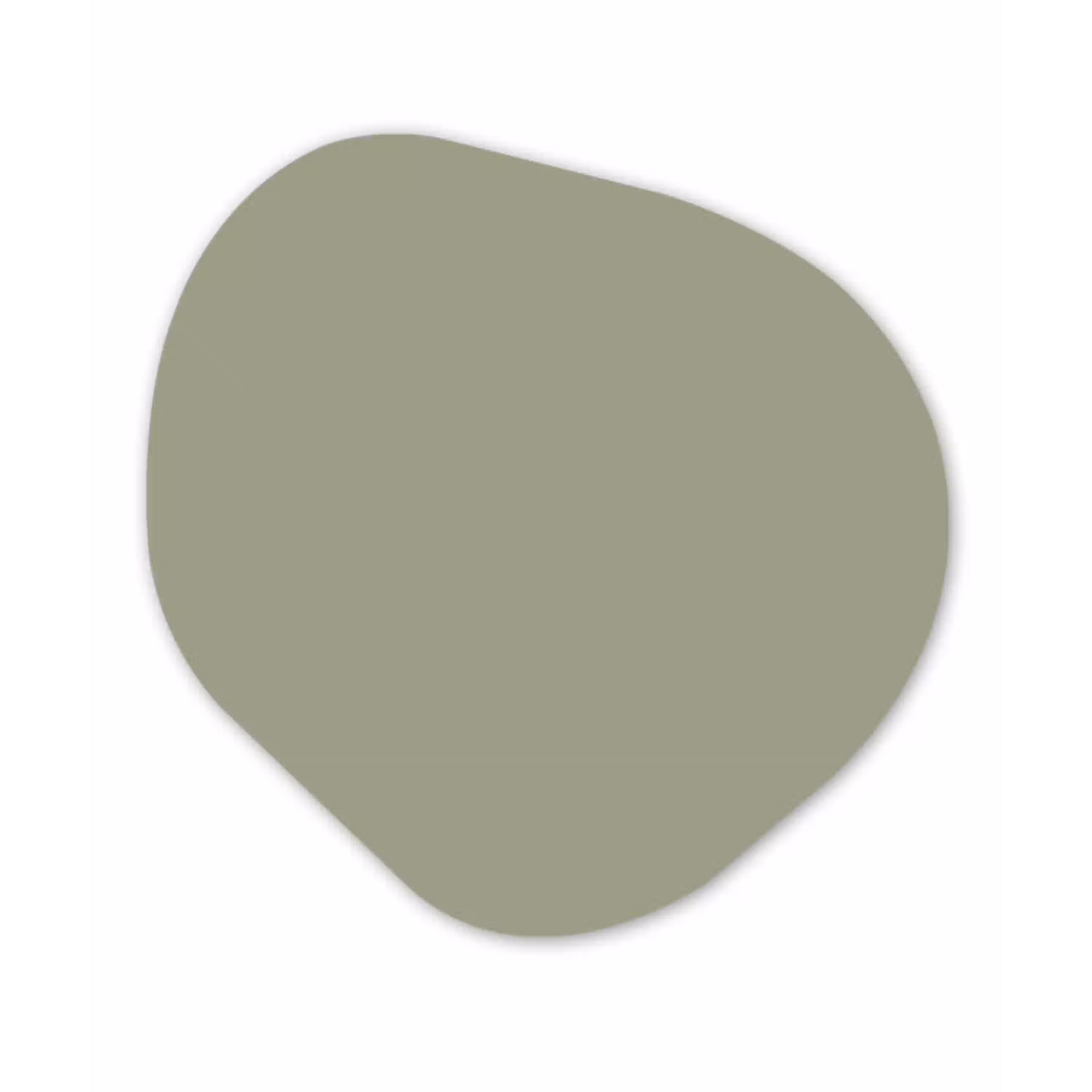 Sage - Mist - Groen Wandcirkel Organisch Forex 3mm klein 629 -3d
