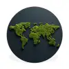 Wereldkaart - Mos -Levendig effect Wandcirkel aluminium klein -3d