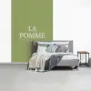 Appel - Groen - Minimalistisch fotobehang vinyl groot -slaapkamer