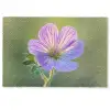 Bloem - Close up - Paars Deurmat klein -zkaufland3d