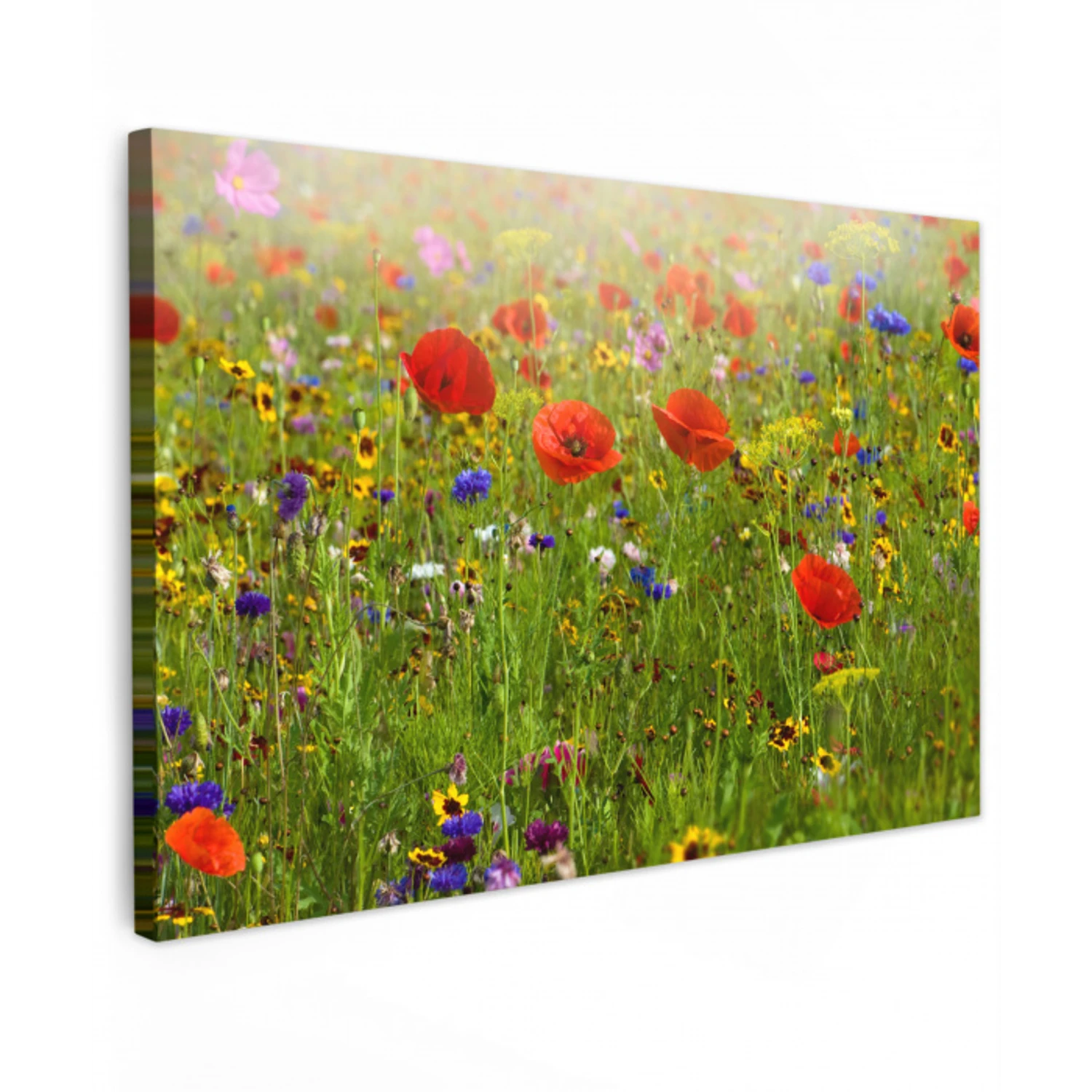 Lente - Bloemen - Rood - Klaproos - Gras - Groen Tuinposter op houten frame 2 cm dik klein -3d