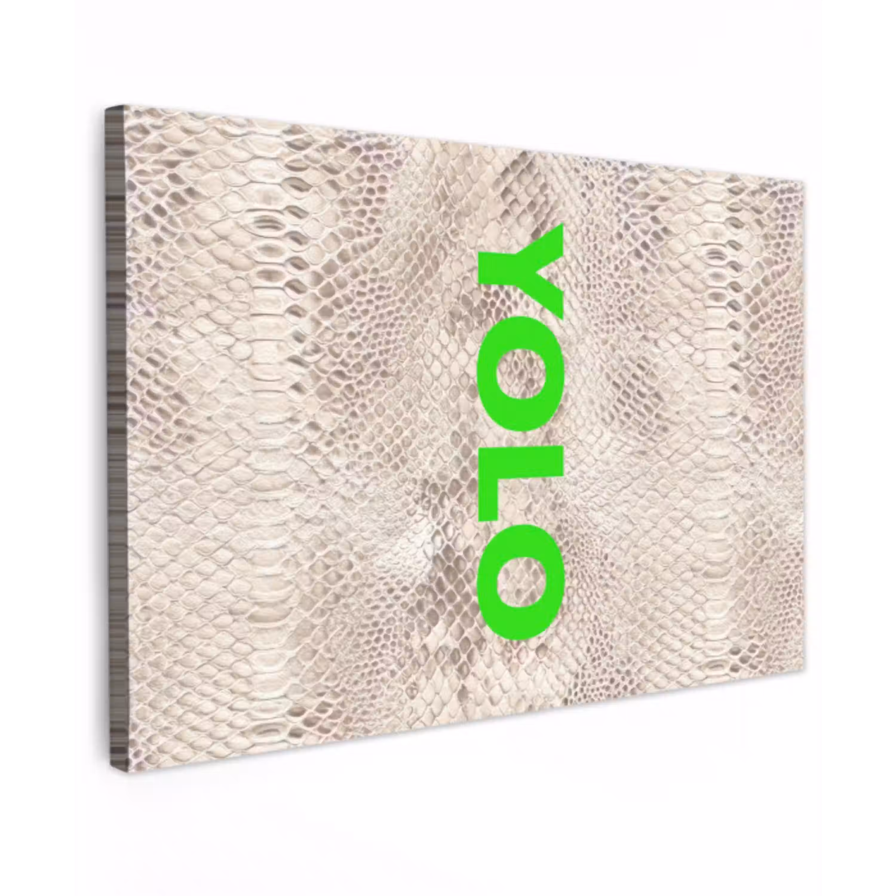 YOLO - Groen - Neon - Slangenprnt Tuinposter op houten frame 2 cm dik klein -3d