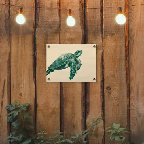 Schildpad - Sierlijk - Groen - Schild tuinposter los doek klein -sfeer1