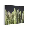 Asperges - Groen - Zwart PET vilt klein -3d