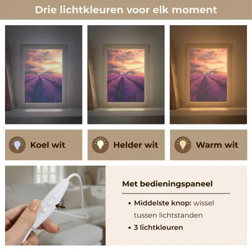 Lavendelveld - Quote - Zonsondergang Light Box met kabel (Tafellamp) klein -USP_lichtkleurNL