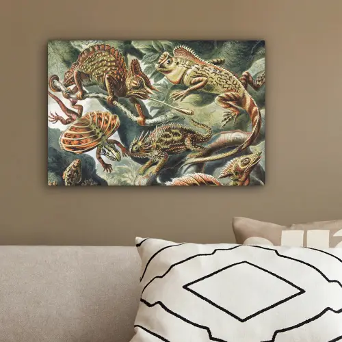 Vintage - Kunst - Ernst Haeckel - Salamanders - Dieren canvas 2cm klein -sfeer3