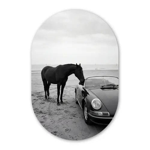 Paard - Auto - Zwart - Wit Wandcirkel Ovaal Forex klein -3d