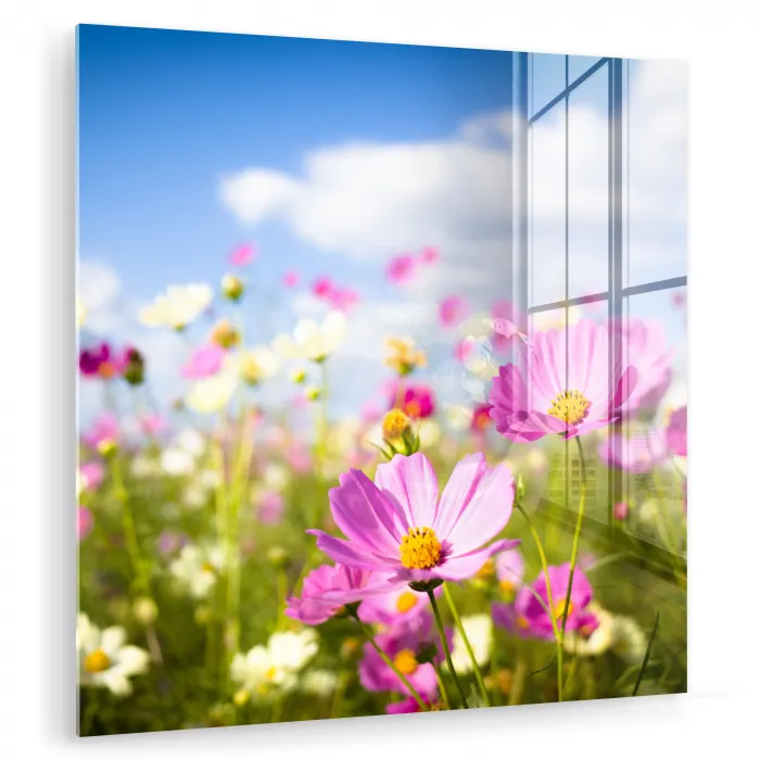 Bloemen - Wei - Paars - Gras - Wit - Wolken - Blauw plexiglas 5mm klein -zzzproduct_nieuw