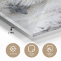 Sneeuwuil - Oog - Wildlife - Wit plexiglas 5mm klein -sfeer2