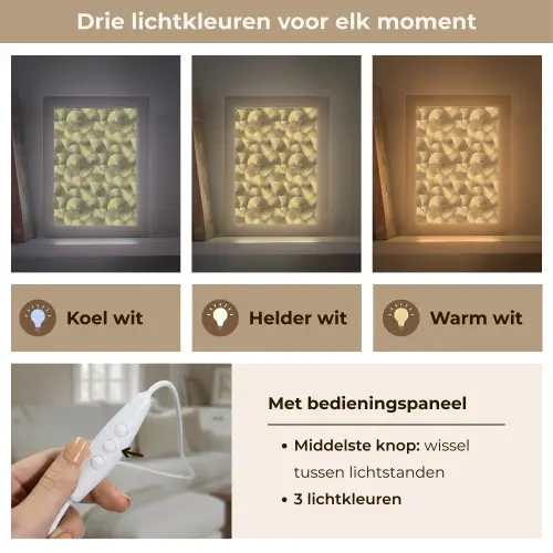 Modern - Cirkel - Goud Light Box met kabel (Tafellamp) klein 925 -USP_lichtkleurNL