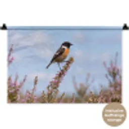 Roodborsttapuit - Heide - Paars - Natuur - Sfeervol Wandkleed katoen klein -t3d_DE