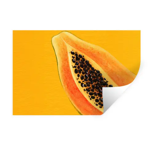 Papaja - Oranje - Topisch Muursticker klein -3d