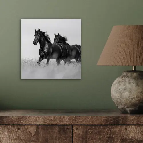 Paarden - Gras - Zwart - Wit aluminium wit klein -sfeer2