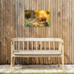 Eekhoorn - Herfst - Bosdieren - Herfstbladeren - Bos Tuinposter op houten frame 2 cm dik klein -sfeer4