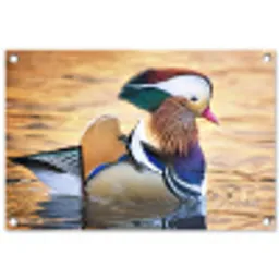 Close-up mandarijneend tuinposter los doek klein -3d