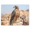 Valk - Vogel - Rots - Macht muismat rubber klein -3d