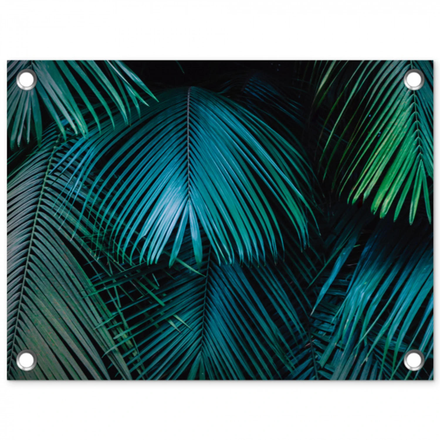 Inductie beschermer - Inductie afdekplaat - Tropical - Jungle - Bladeren - Groen tuinposter los doek klein -3d