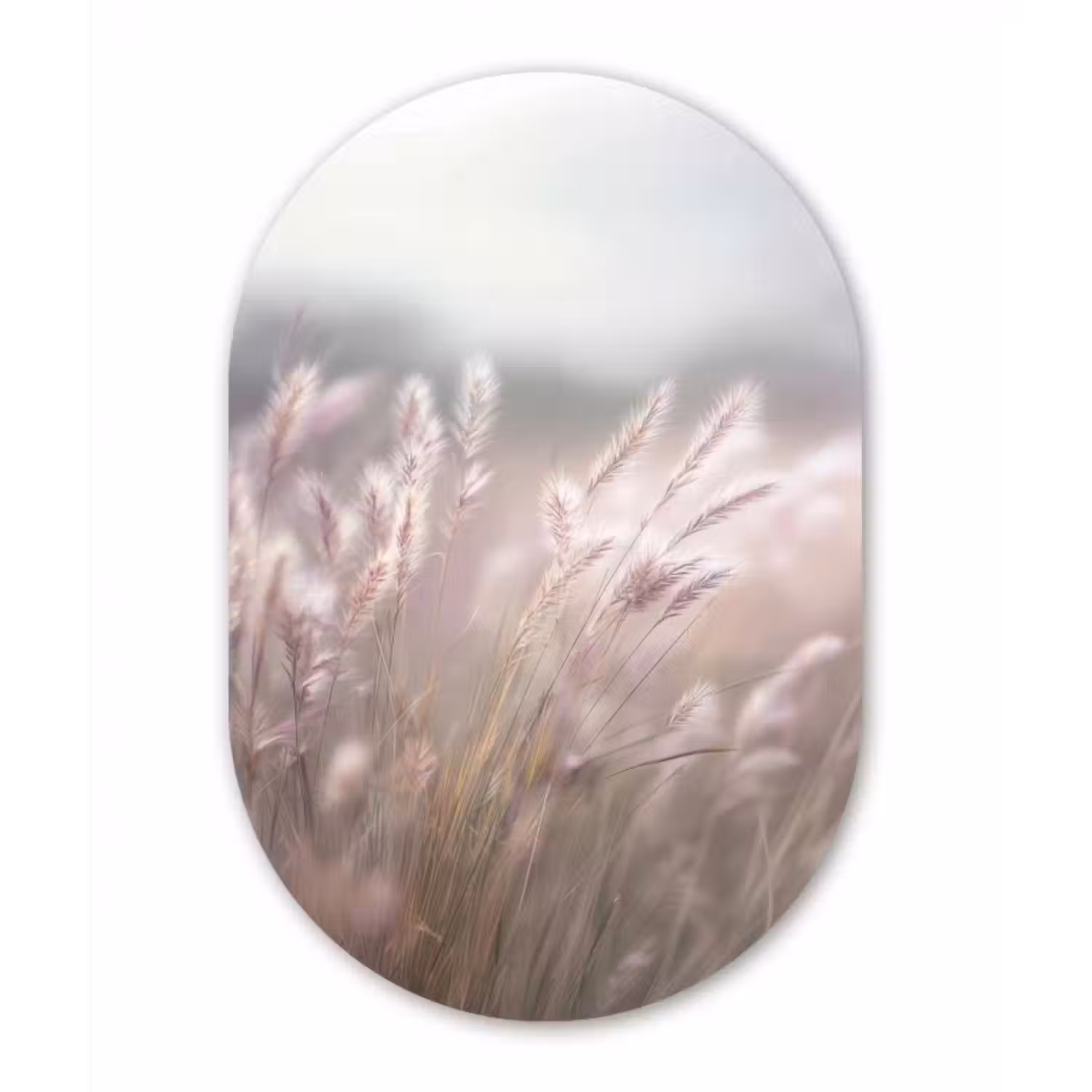 Glasbild Oval - Grasfahnen - Wind - Beige - Neblig