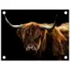Hooglander tegen Zwarte Achtergrond tuinposter los doek klein -3d