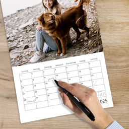 a09ca8a1-8ca9-467b-8280-7063b9d57cda.png