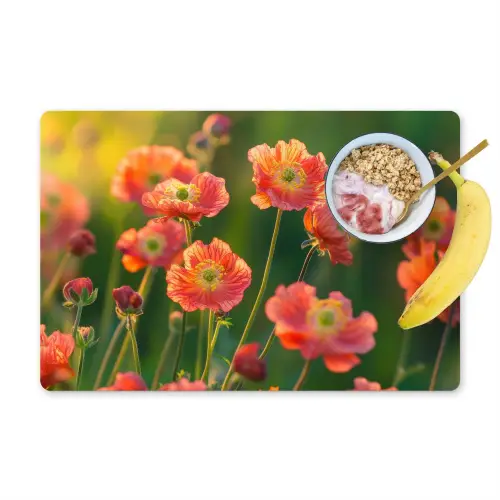 Bloemenveld - Zonnestralen - Oranje Placemat vinyl groot -zzzproduct_Kitchenyeah-website