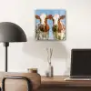 Koeien - Lucht - Dieren - Boerderij - Portret plexiglas 5mm klein -sfeer6