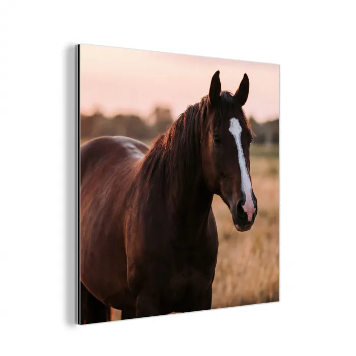 Paard - Zonsondergang - Bruin aluminium wit klein -3d