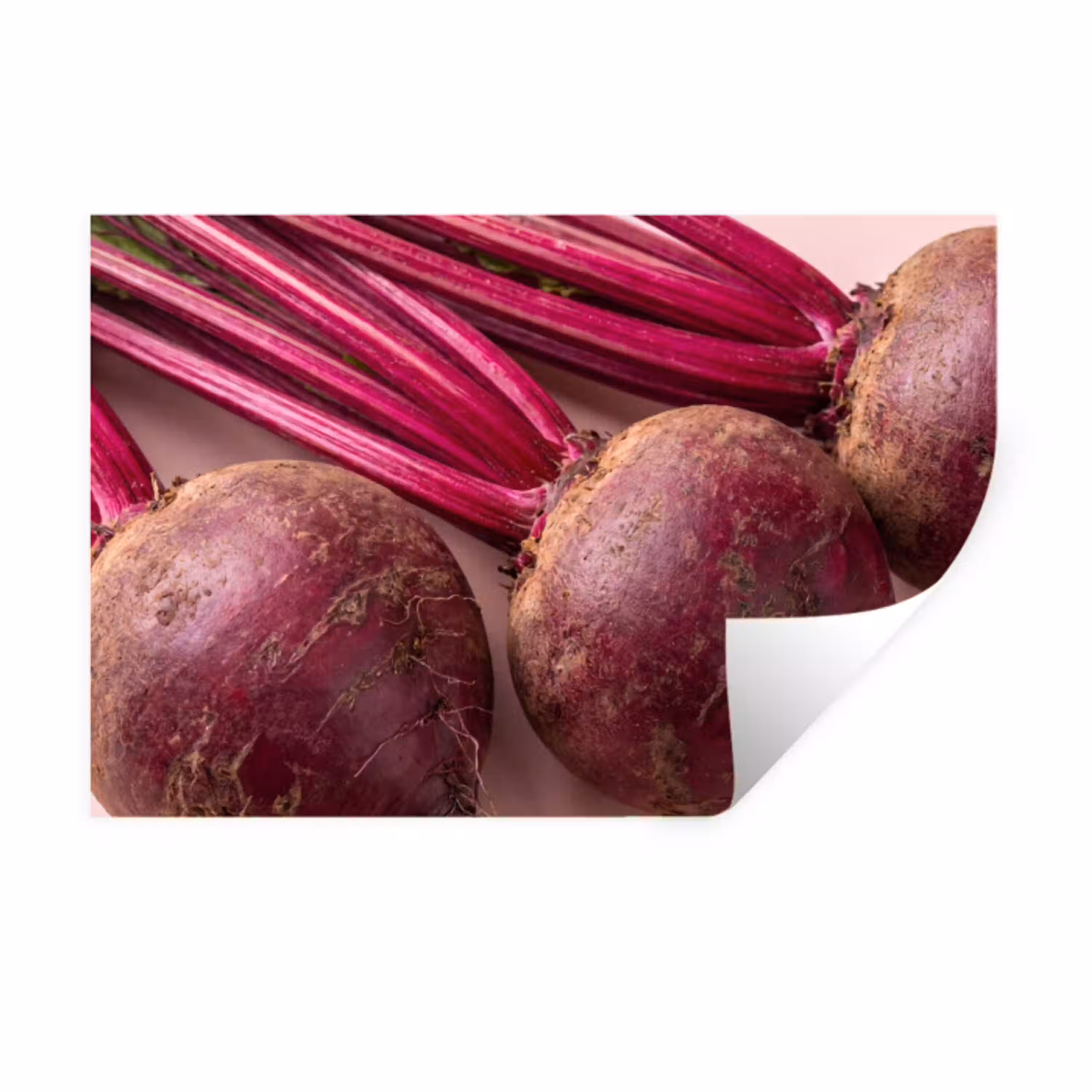 Groente - Rood - Vers Muursticker klein -3d