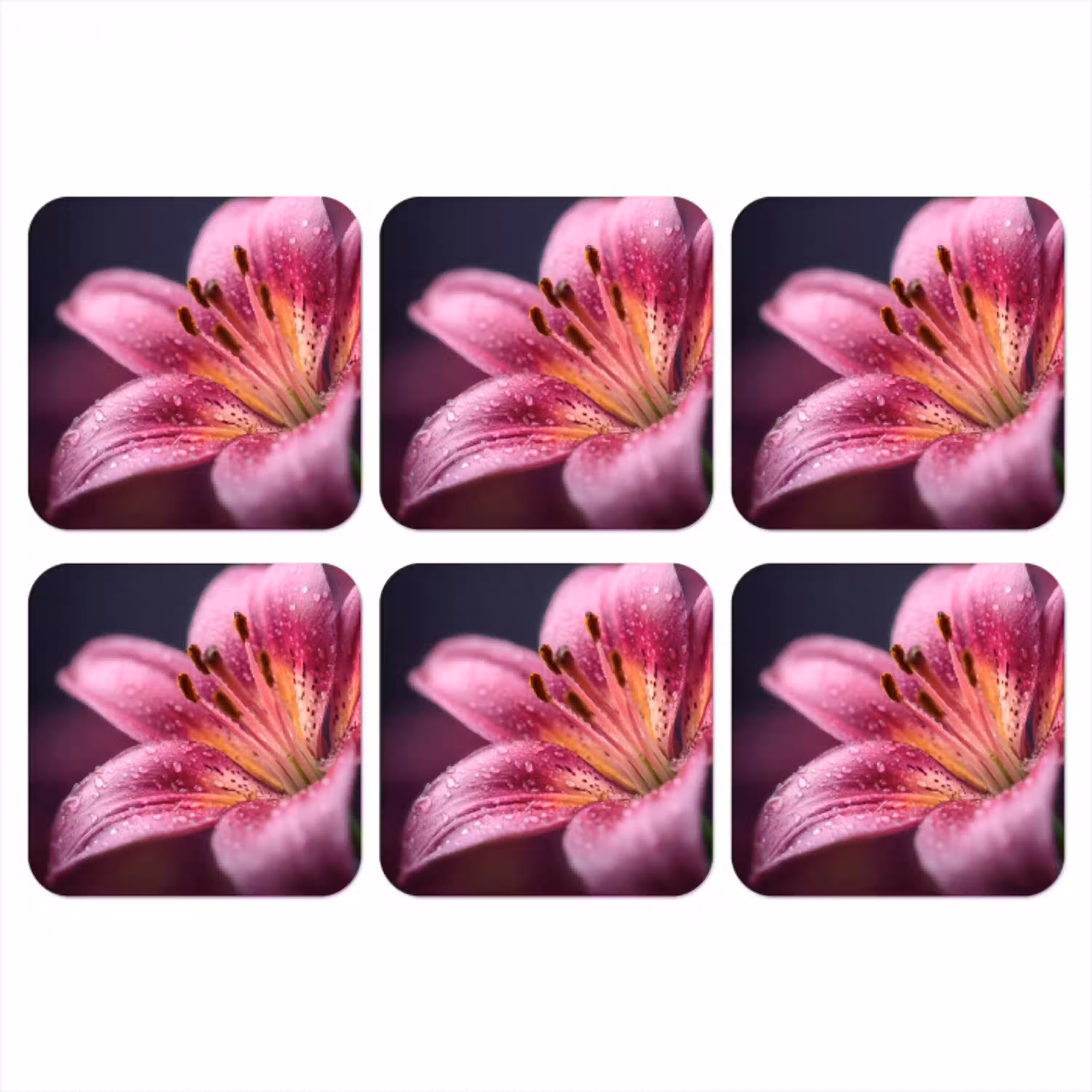 Roze - lelie - Dauwdruppels onderzetter kurk middel -3d