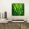 Grassprieten - Lichtinval - Groen plexiglas 5mm klein -sfeer1
