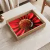 Close up - Bloem - Quote - Rood Dienblad Rechthoek middel -sfeer1