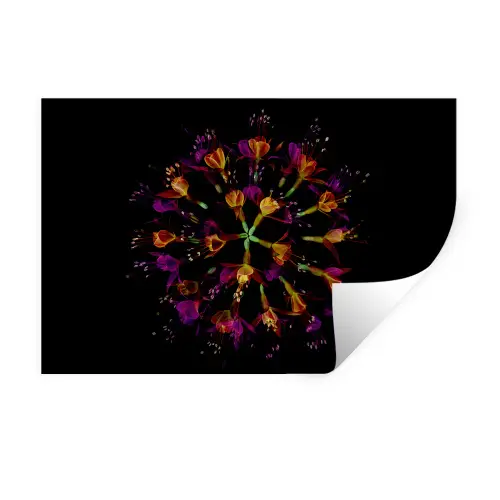 Bloemen - Oranje - Roze - Zwart Muursticker klein -3d