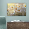 Madeliefjes - Wit - Zonlicht canvas 2cm klein -sfeer4