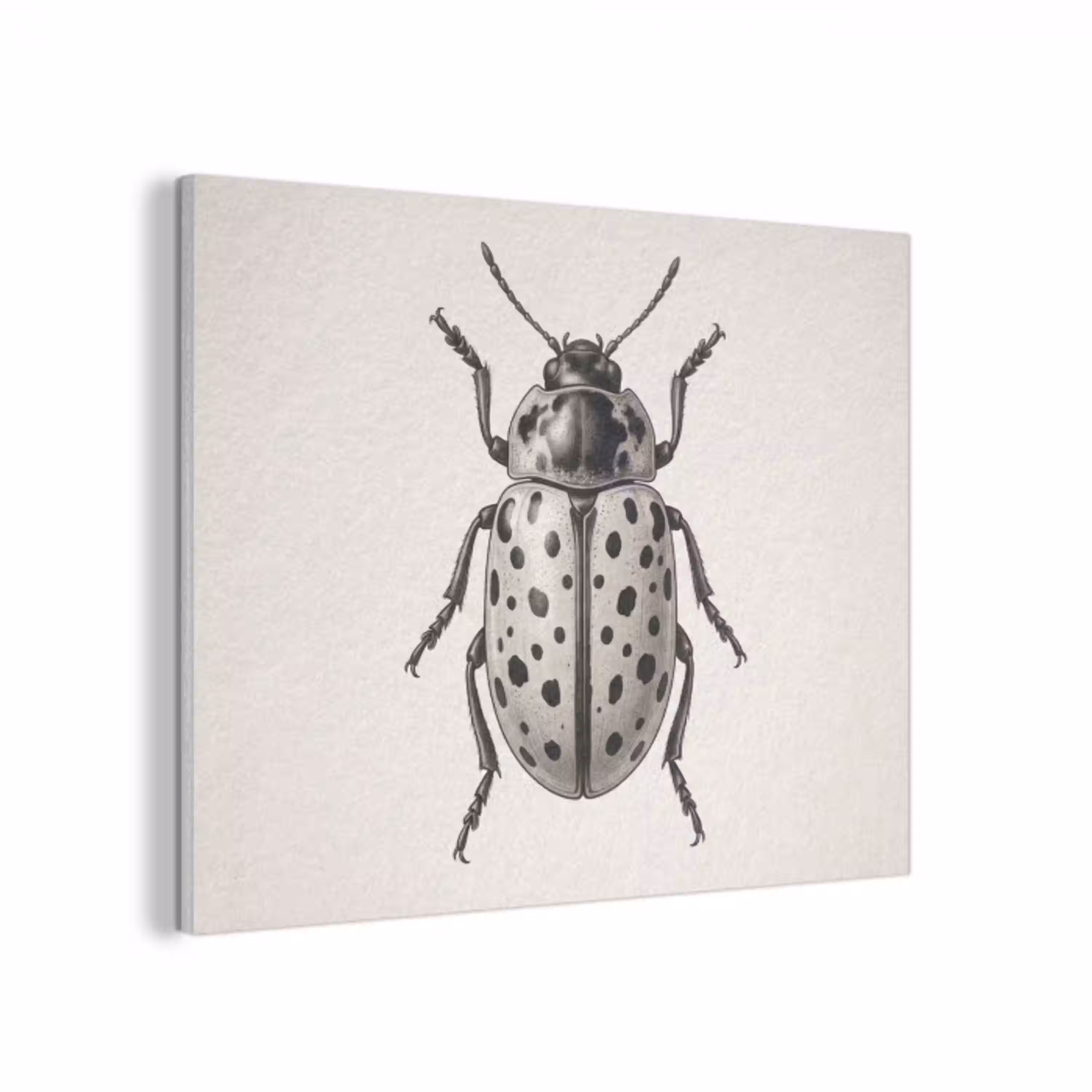 Kever - Insect - Vintage PET vilt klein -3d
