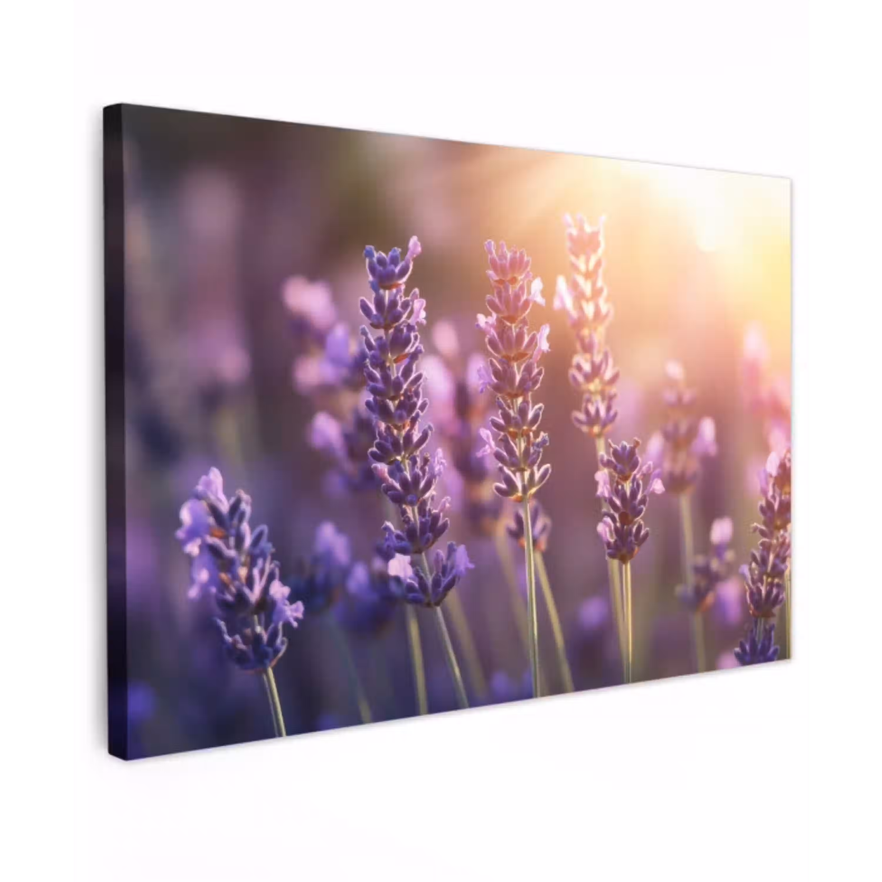Lavendelbloemen - Paars - Zonlicht Tuinposter op houten frame 2 cm dik klein -3d