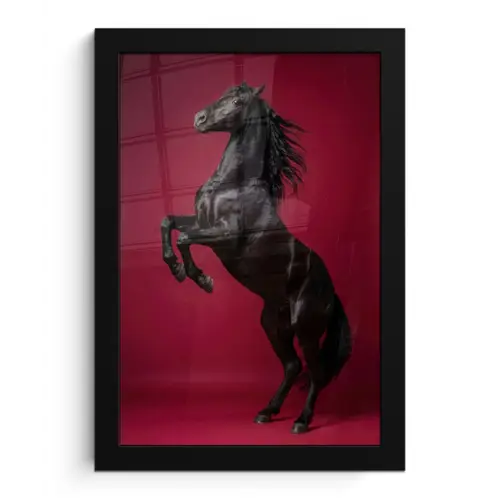 Hengst - Steigert - Rood fotolijst zwart zonder passe partout klein -3d